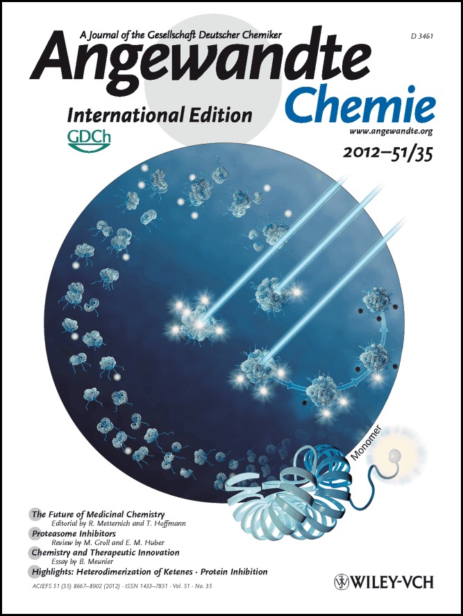 Cover Picture: Molecular Composition of Sub-stoichiometrically Labeled α-Synuclein Oligomers Determined by Single-Molecule Photobleaching (Angew. Chem. Int. Ed. 35/2012)