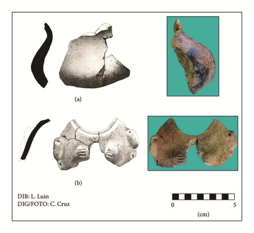 Details are in the caption following the image Details are in the caption following the image