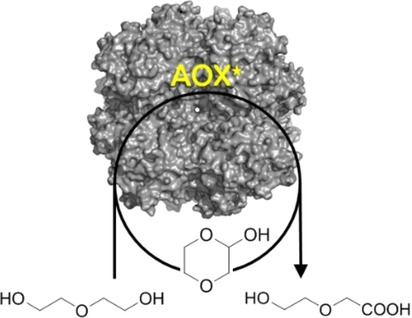 Production of Hydroxy Acids: Selective Double Oxidation of Diols by Flavoprotein Alcohol Oxidase