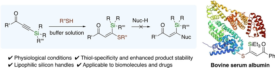 Thiol-Specific Silicon-Containing Conjugating Reagent: β-Silyl Alkynyl Carbonyl Compounds