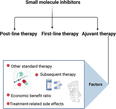 Small molecule inhibitors targeting the cancers