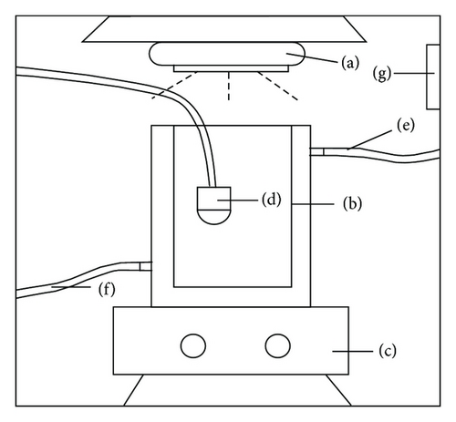 Details are in the caption following the image