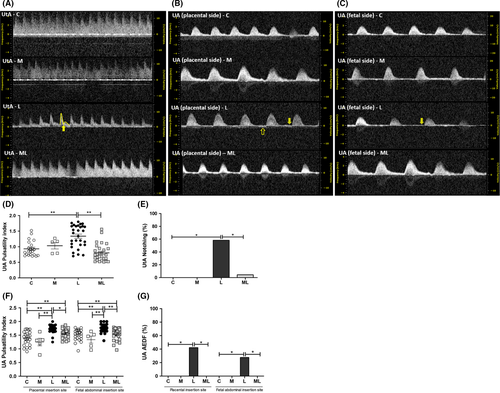 Details are in the caption following the image Details are in the caption following the image