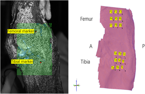 Details are in the caption following the image Details are in the caption following the image
