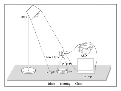 Details are in the caption following the image
