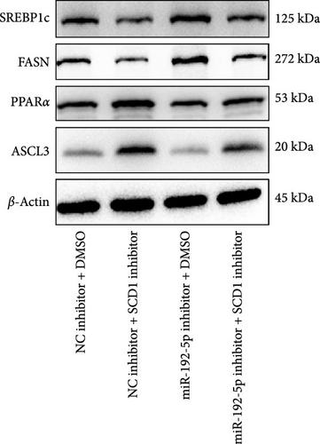 Details are in the caption following the image