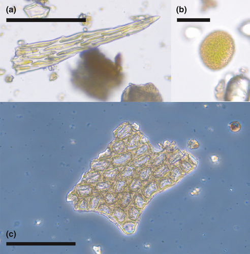 Details are in the caption following the image Details are in the caption following the image