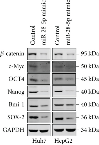 Details are in the caption following the image