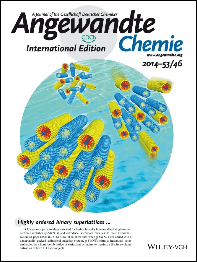 Inside Back Cover: Highly Ordered and Highly Aligned Two-Dimensional Binary Superlattice of a SWNT/Cylindrical-Micellar System (Angew. Chem. Int. Ed. 46/2014)