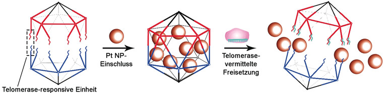 A Telomerase-Responsive DNA Icosahedron for Precise Delivery of Platinum Nanodrugs to Cisplatin-Resistant Cancer