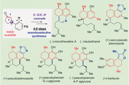 Asymmetric Total Syntheses of Di- and Sesquiterpenoids by Catalytic C−C Activation of Cyclopentanones
