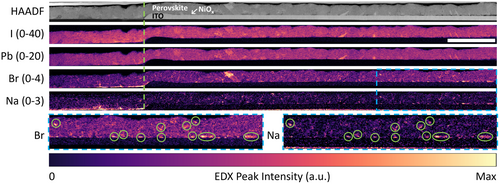 Details are in the caption following the image Details are in the caption following the image