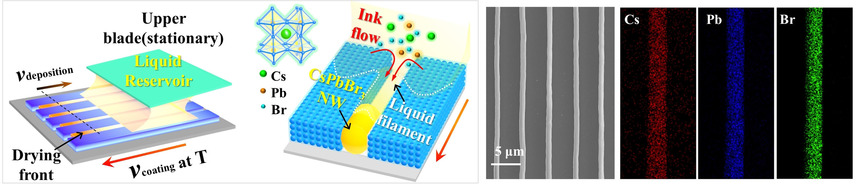 Rapid Capillary-Assisted Solution Printing of Perovskite Nanowire Arrays Enables Scalable Production of Photodetectors