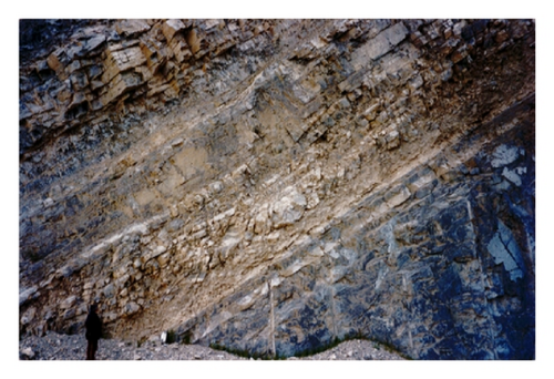 Details are in the caption following the image