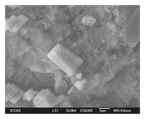 Details are in the caption following the image