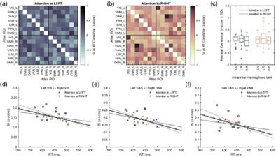 Hemispheric functional segregation facilitates target detection during sustained visuospatial attention