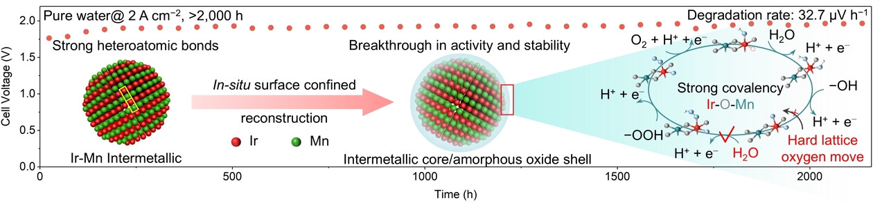 Strong Heteroatomic Bond-Induced Confined Restructuring on Ir−Mn Intermetallics Enable Robust PEM Water Electrolyzers