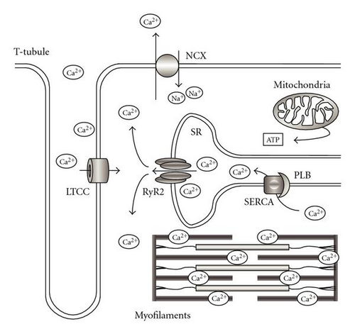 Details are in the caption following the image