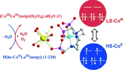 Tuning the Spin State of Cobalt in a Co–La Heterometallic Complex through Controllable Coordination Sphere of La