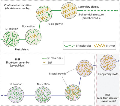Formation, Structure, and Mechanical Performance of Silk Nanofibrils Produced by Heat-Induced Self-Assembly