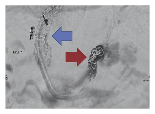 Details are in the caption following the image Details are in the caption following the image