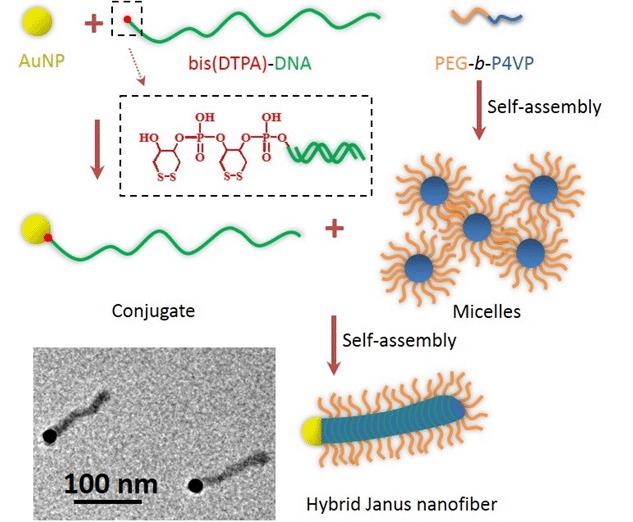 A Robust Solution-Based Approach to Monodisperse Hybrid Janus Nanofibers