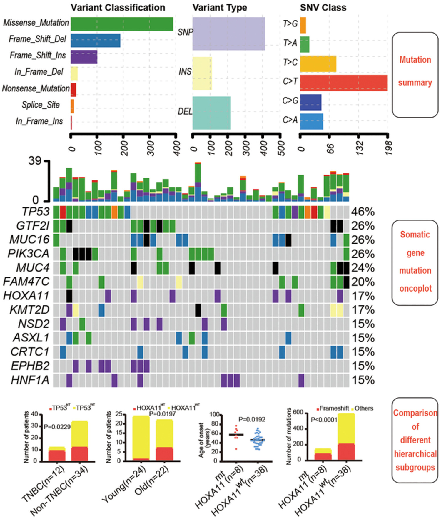 Targeted gene next-generation sequencing reveals genomic profile in a cohort of 46 Chinese patients with breast cancer