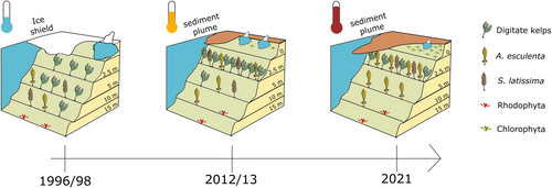Details are in the caption following the image Details are in the caption following the image