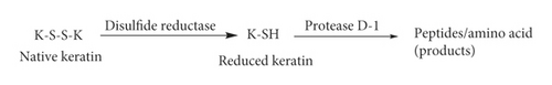 Details are in the caption following the image
