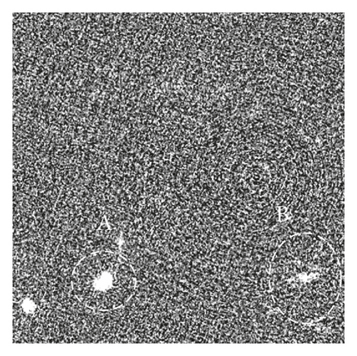 Details are in the caption following the image Details are in the caption following the image