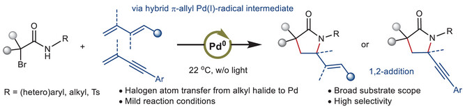 Palladium-Catalyzed Alkyl Amination of Olefins via Radical-Polar Crossover at Room Temperature