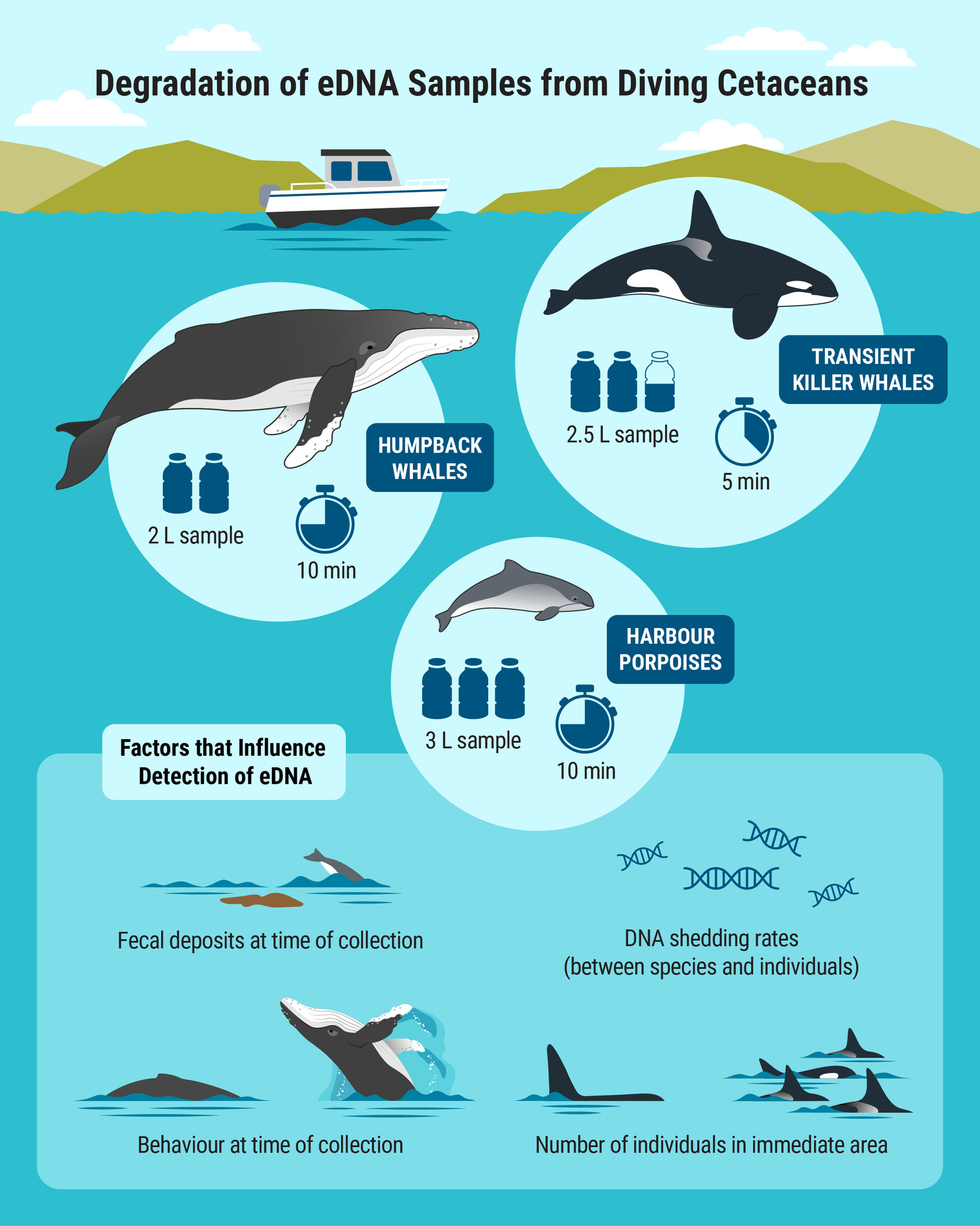 Gone in a Splash? Temporal Dynamics of Flukeprint Environmental DNA (eDNA) Detection for Common Coastal Northeast Pacific Cetacean Species