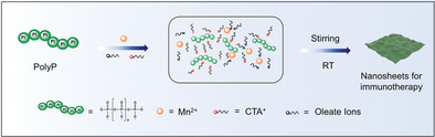 Hierarchical Assembly of Flexible Biopolymer Polyphosphate-Manganese into Nanosheets