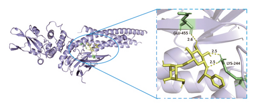 Details are in the caption following the image