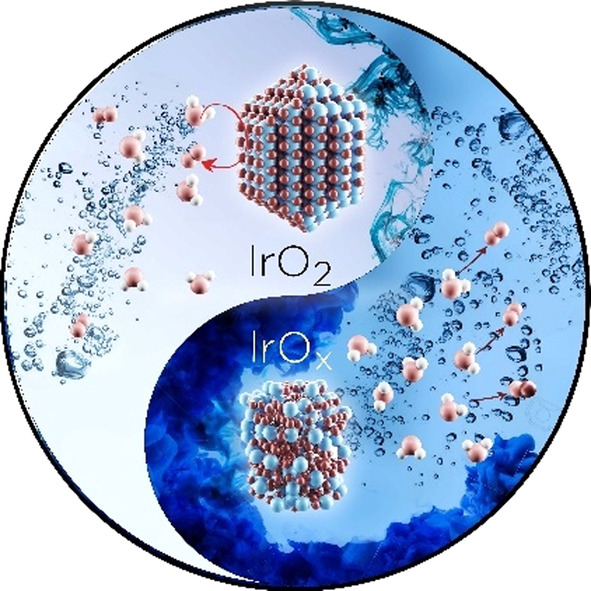 Inter-relationships between Oxygen Evolution and Iridium Dissolution Mechanisms