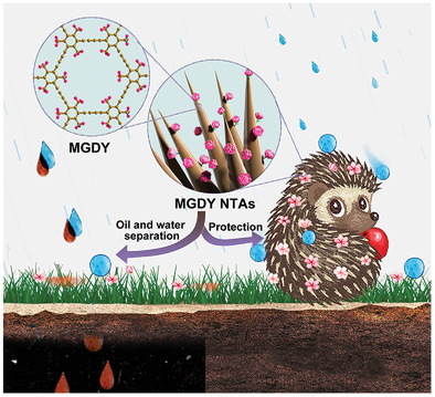 One-Step Preparation of Highly Durable Superhydrophobic Carbon Nanothorn Arrays