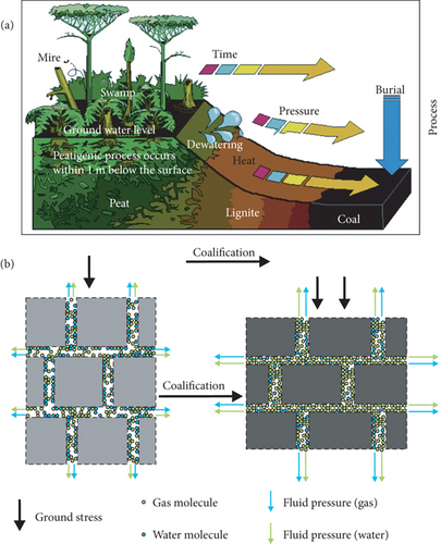 Details are in the caption following the image Details are in the caption following the image