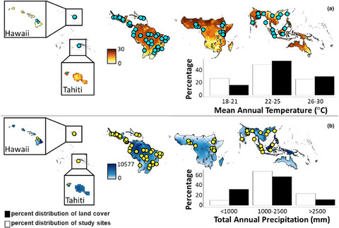 A meta-analysis of tropical land-use change effects on the soil microbiome: Emerging patterns and knowledge gaps