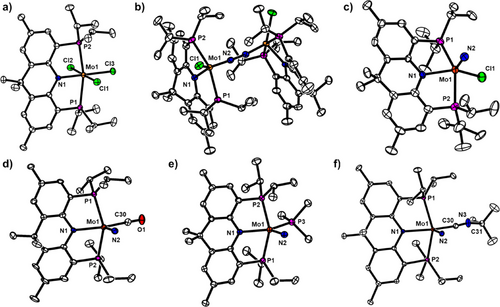 Details are in the caption following the image Details are in the caption following the image