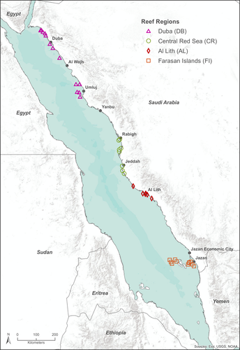 Details are in the caption following the image Details are in the caption following the image