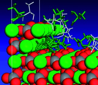 Phasenselektion von Calciumcarbonat durch die Chiralität adsorbierter Aminosäuren