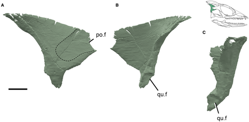 Details are in the caption following the image