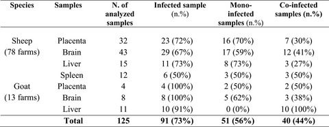 Molecular detection of Theileria sergentii/orientalis/buffeli and Ehrlichia canis from aborted ovine and caprine products in Sardinia, Italy