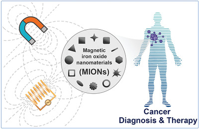 Magnetic iron oxide nanomaterials: A key player in cancer nanomedicine