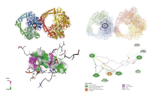 Details are in the caption following the image Details are in the caption following the image