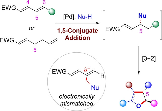 Umpolung Asymmetric 1,5-Conjugate Addition via Palladium Hydride Catalysis