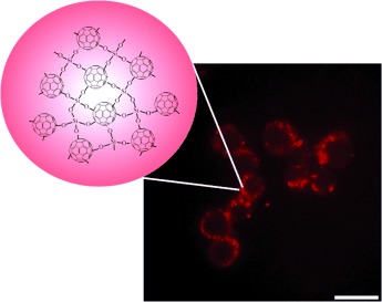 Synthesis and Characterization of a Photoluminescent Nanoparticle Based on Fullerene–Silica Hybridization