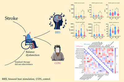 Effects of Auditory Frequency Stimulation on Balance and Rehabilitation Outcomes in Patients With Stroke: A Randomized Case-Control Study