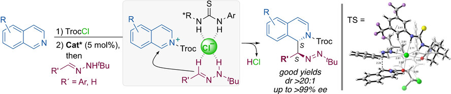 Enantio- and Diastereoselective Nucleophilic Addition of N-tert-Butylhydrazones to Isoquinolinium Ions through Anion-Binding Catalysis