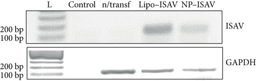 Details are in the caption following the image